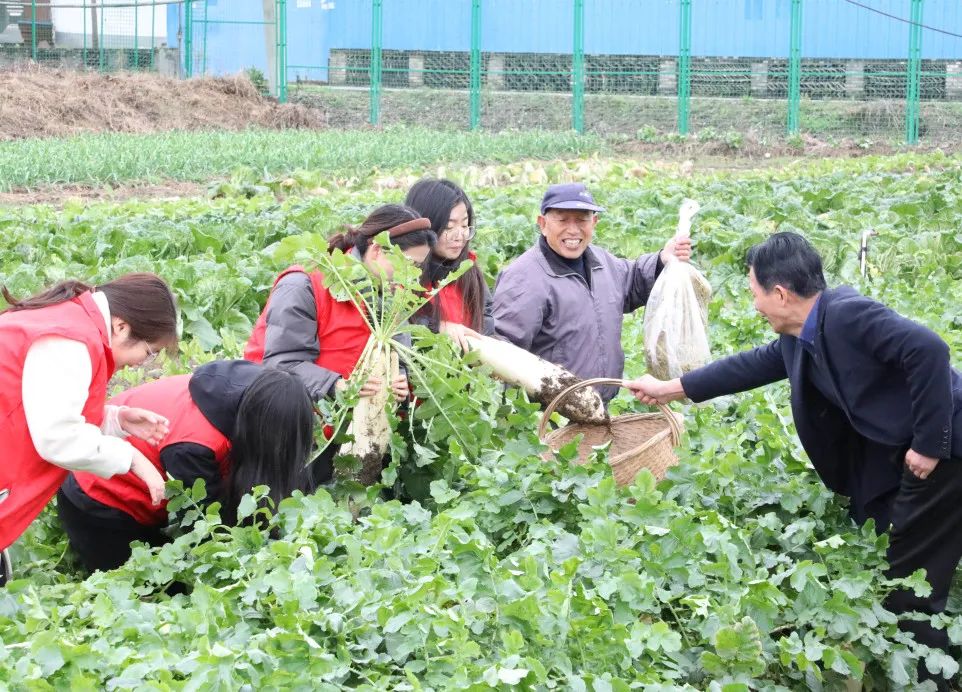 讓員工吃上放心菜│“通鼎愛心菜籃子”工程啟動